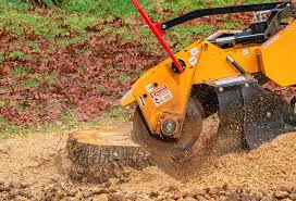 Best Tree and Shrub Care  in Mullica Hill, NJ