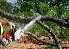 Best Lawn Watering Services  in Mullica Hill, NJ