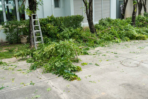Best Hazardous Tree Removal  in Mullica Hill, NJ